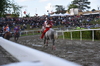 Immagine <b>REG_9370</b>
